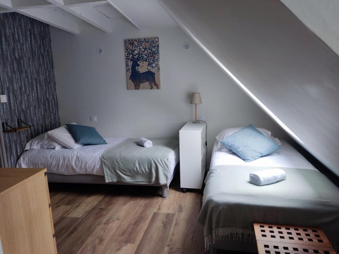 Chez Soline - Le Duplex Climatise アンボワーズ エクステリア 写真